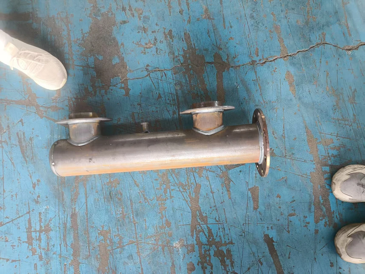 Tubular sample assembly with branch connections and flanges.